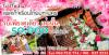 โปรโมชั่นใหม่ !! แพคเก็จเรือนไทยมหานคร PK 50,000 บาท